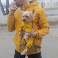 Антон, Россия, Уссурийск, 39 лет