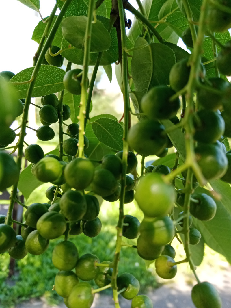 Просто фото