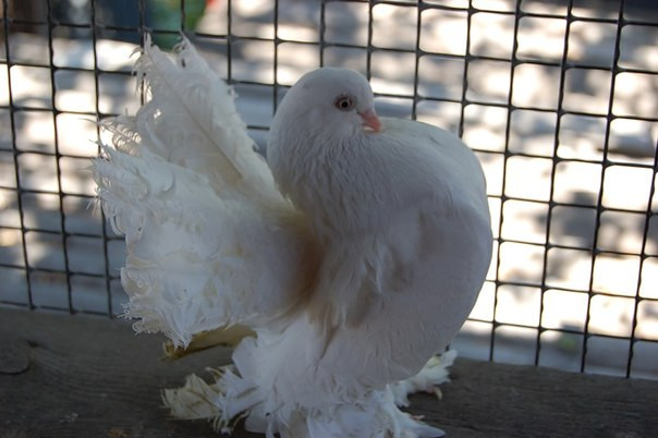 Алексей, Россия, Донецк. Фото на сайте ГдеПапа.Ру