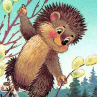 Владимир, Россия, Нижний Новгород, 40 лет