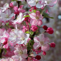 Наталья, Россия, Таруса, 58 лет
