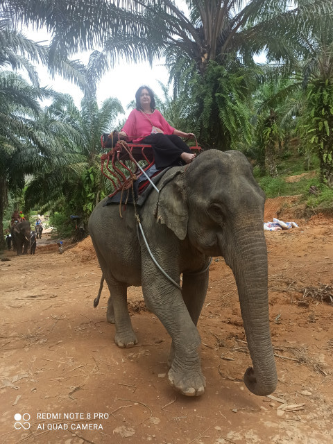 Мария, Россия, Москва, 50 лет, 1 ребенок. Хотела бы встретить кого-то, наверное, такого же, из той же песочницы, чтобы вместе и пошутить и помДаже не знаю, что написать) Родилась и живу в Москве, есть в/о и среднее, работаю по направлению выс