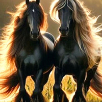 Радомир, Россия, Санкт-Петербург, 50 лет