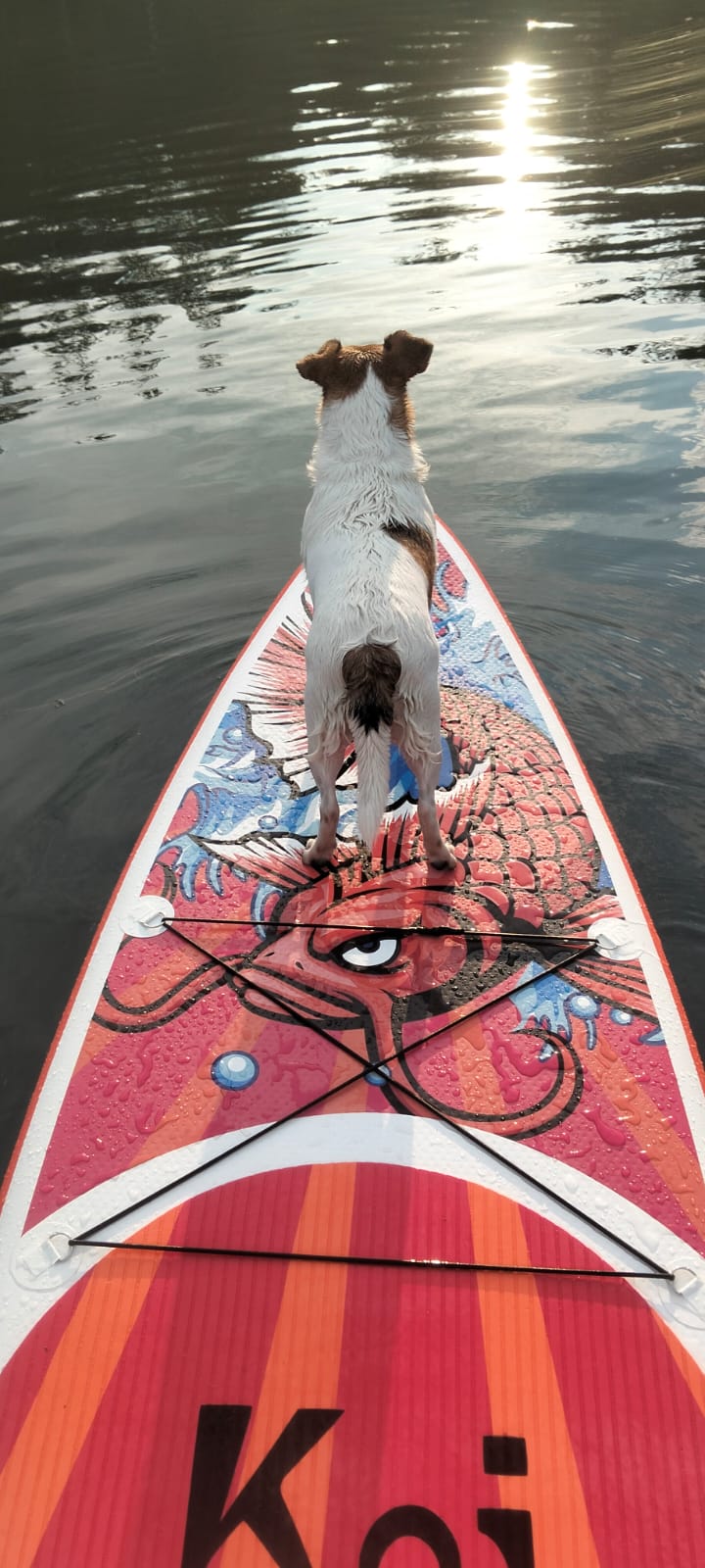 Хорошее настроение + отпуск!