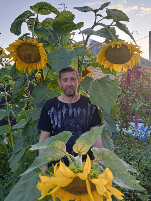 Дмитрий, Россия, Новосибирск, 51 год, 1 ребенок. Познакомлюсь с женщиной для любви и серьезных отношений. Анкета 838444. 