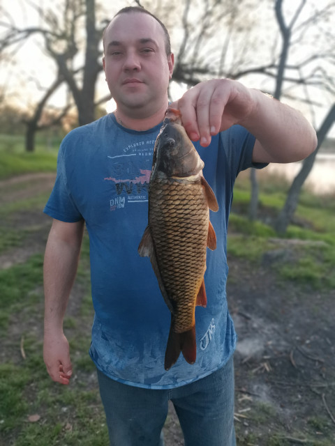 Сергей, Россия, Макеевка, 40 лет. Познакомлюсь с женщиной для любви и серьезных отношений, брака и создания семьи, рождения совместных Анкета 838844. 