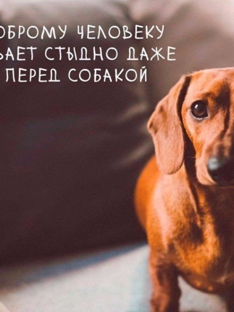 Александр, Россия, Санкт-Петербург. Фото на сайте ГдеПапа.Ру