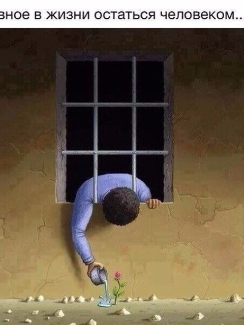 Александр, Россия, Санкт-Петербург. Фото на сайте ГдеПапа.Ру