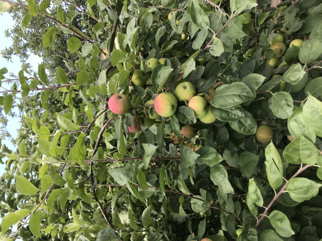 Арик, Россия, Краснодар, 55 лет, 2 ребенка. Познакомлюсь с женщиной для любви и серьезных отношений, брака и создания семьи.Живу, работаю, ищу счастья, ищу вторую половину