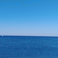 Татьяна, Россия, Краснодар, 56 лет