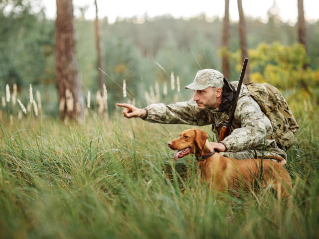 Beka, Грузия, Тбилиси. Фото на сайте ГдеПапа.Ру
