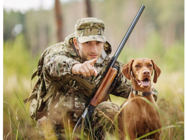 Beka, Грузия, Тбилиси. Фото на сайте ГдеПапа.Ру
