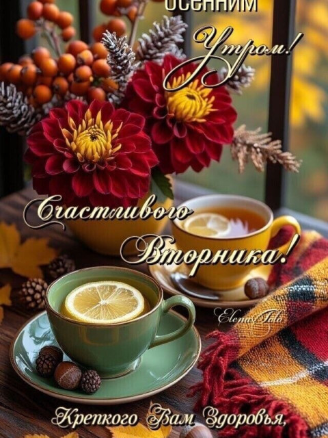 Михаил, Россия, Ульяновск. Фото на сайте ГдеПапа.Ру