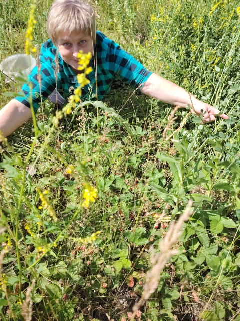 Людмила, Новосибирск, 55 лет, 2 ребенка, 3 фото. Познакомлюсь с мужчиной для любви и серьезных отношений, дружбы и общения.  Анкета 841108. 