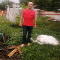 Александр Еременко, Россия, Белгород, 59 лет