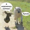Наталья, Россия, Ростов-на-Дону, 43