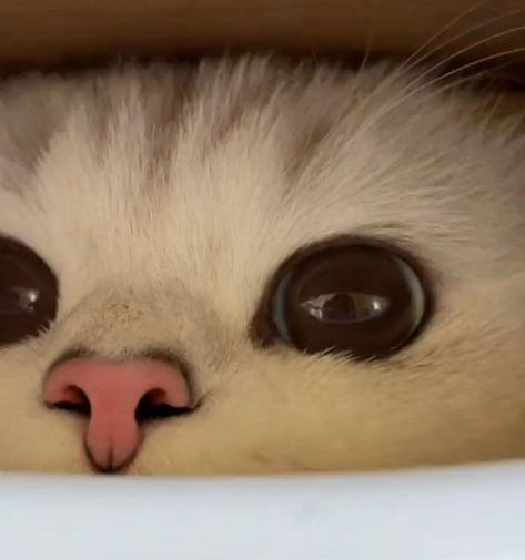 Сергей, Москва, 35 лет. Добрый день! 
Познакомлюсь с девушкой из Москвы или МО. 
Адекватный без вредных привычек с высшем 