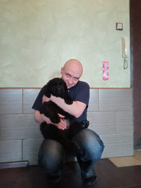 Дмитрий Шуб, Россия, Королёв. Фото на сайте ГдеПапа.Ру