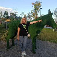 Светлана, Россия, Новый Оскол, 52 года