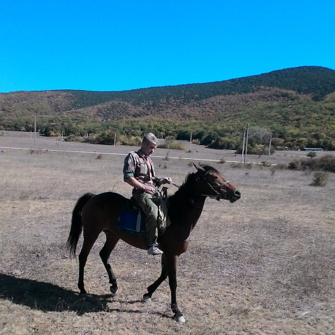 Юрий Дыбов, Россия, Севастополь. Фото на сайте ГдеПапа.Ру