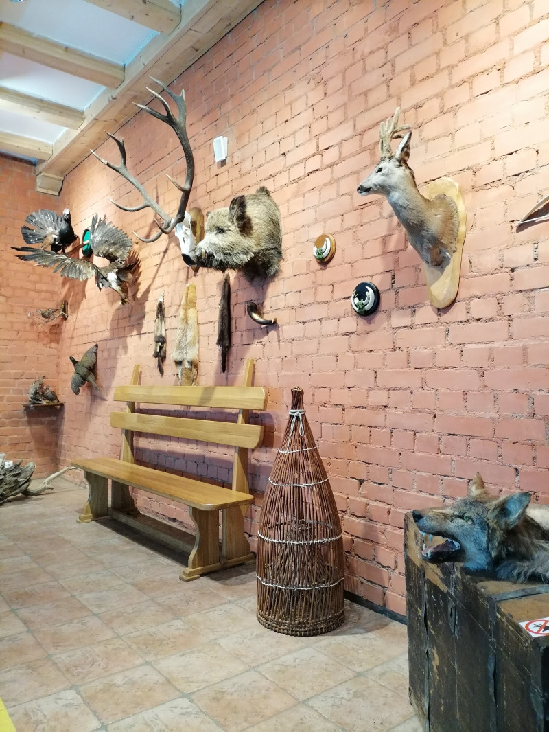 3200 км красоты.