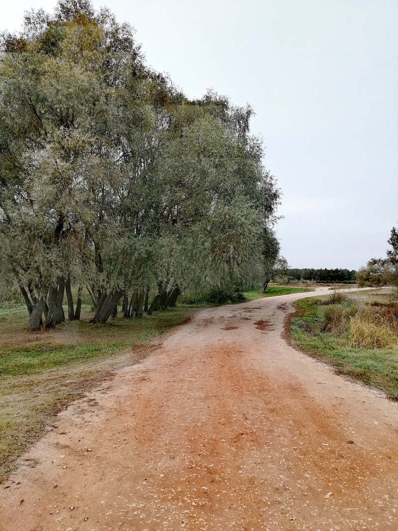 3200 км красоты.