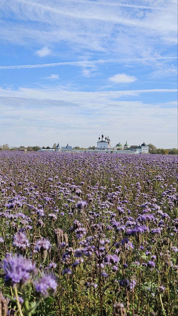 3200 км красоты.