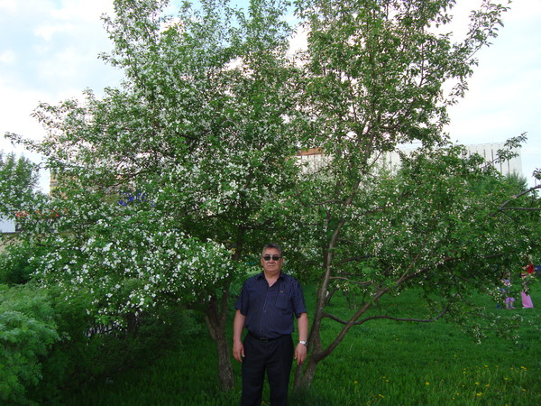 Хафиз Каримов, Россия, Набережные Челны, 66 лет, 1 ребенок. Хочу познакомиться