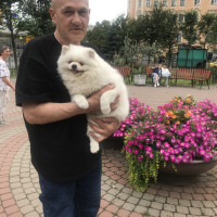 Алексей, Россия, Санкт-Петербург, 58 лет