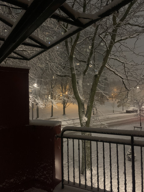 Валентин, Канада, Монреаль. Фото на сайте ГдеПапа.Ру