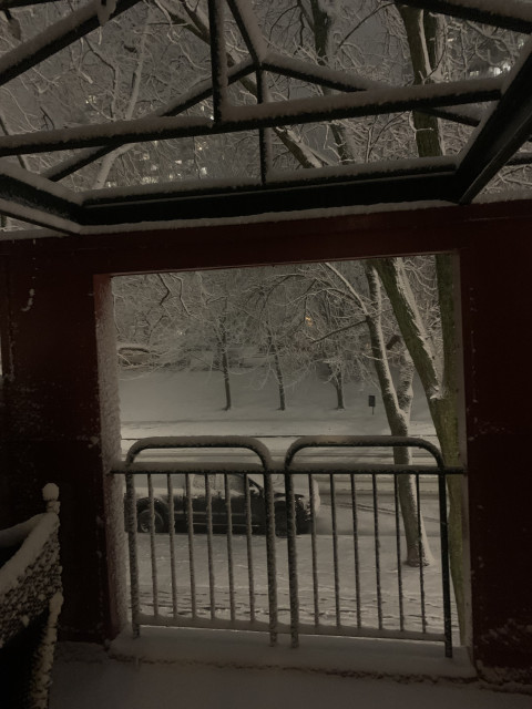 Валентин, Канада, Монреаль. Фото на сайте ГдеПапа.Ру