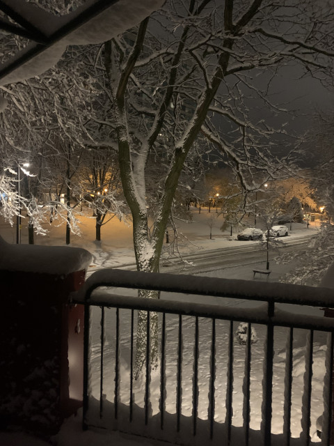Валентин, Канада, Монреаль. Фото на сайте ГдеПапа.Ру
