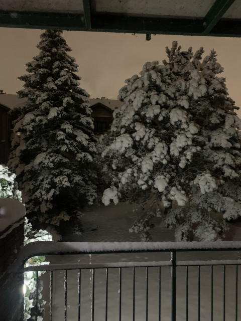 Валентин, Канада, Монреаль. Фото на сайте ГдеПапа.Ру