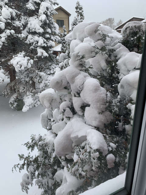 Валентин, Канада, Монреаль. Фото на сайте ГдеПапа.Ру