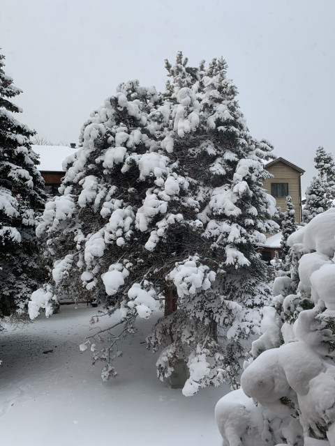 Валентин, Канада, Монреаль. Фото на сайте ГдеПапа.Ру