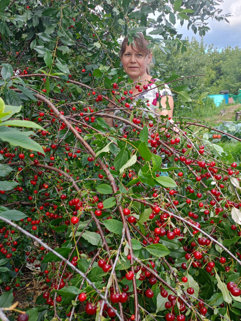 Натали, Россия, Ижевск. Фото на сайте ГдеПапа.Ру