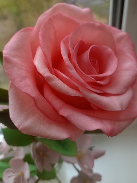 Натали, Россия, Ижевск. Фото на сайте ГдеПапа.Ру