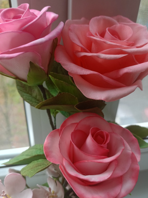 Натали, Россия, Ижевск. Фото на сайте ГдеПапа.Ру