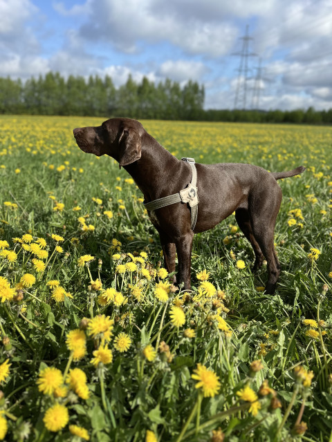 Сергей, Россия, Санкт-Петербург. Фото на сайте ГдеПапа.Ру