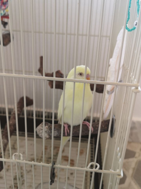 George, Греция, Афины. Фото на сайте ГдеПапа.Ру