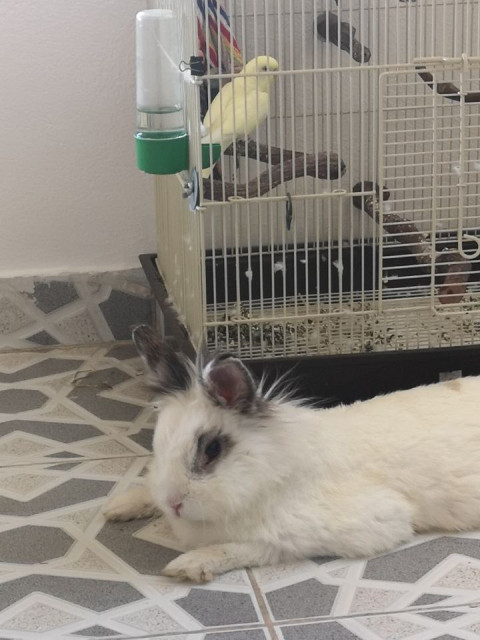 George, Греция, Афины. Фото на сайте ГдеПапа.Ру