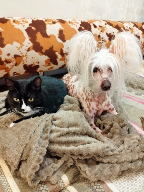 Лариса, Россия, Новосибирск. Фото на сайте ГдеПапа.Ру