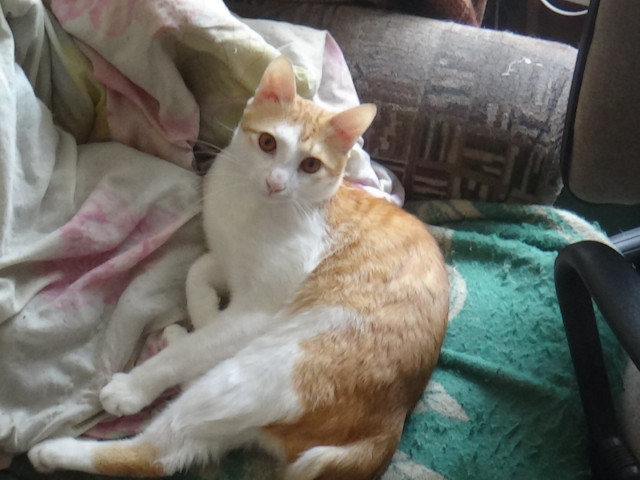 Валерий, Россия, Зеленогорск. Фото на сайте ГдеПапа.Ру