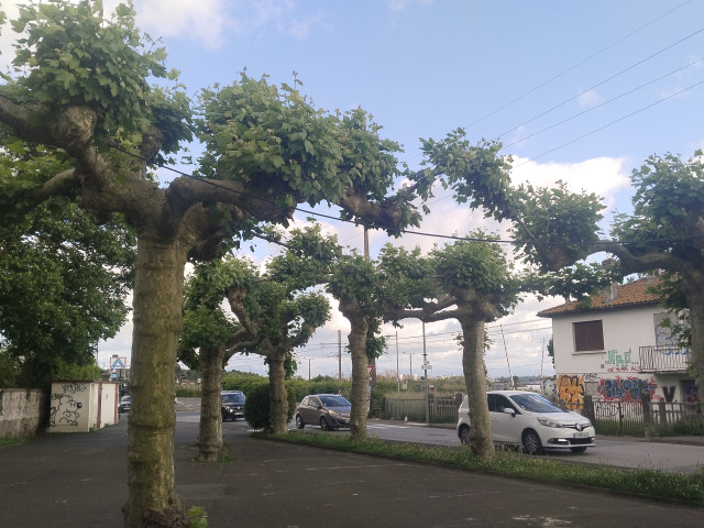 Александр, Россия, Севастополь. Фото на сайте ГдеПапа.Ру
