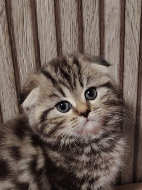 Моя Варя😘🙂