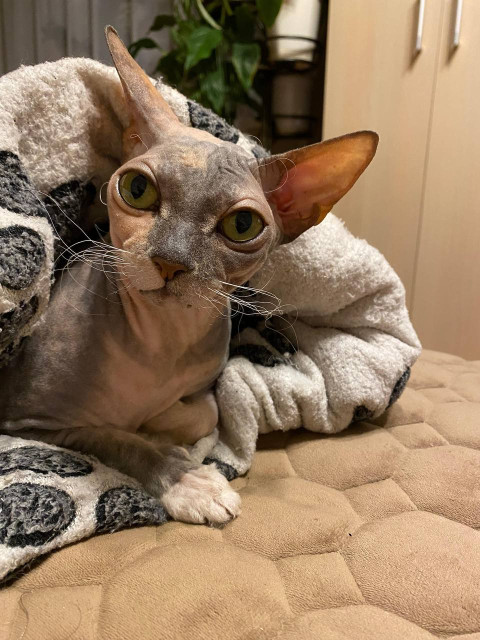 Андрей, Россия, Вологда. Фото на сайте ГдеПапа.Ру