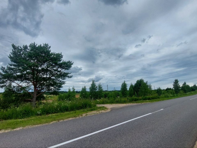 Валерий Литвак, Россия, Москва. Фото на сайте ГдеПапа.Ру