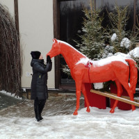 Галина, Россия, Челябинск, 52 года