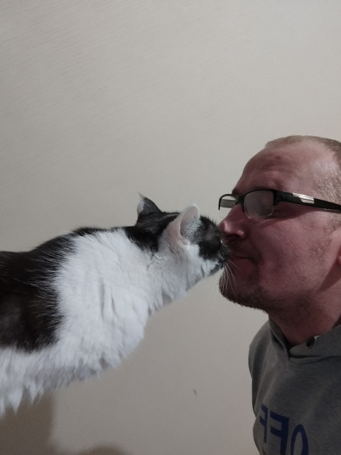 @manforladi, Россия, Москва. Фото на сайте ГдеПапа.Ру