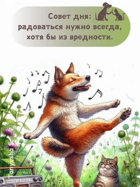 Светлана, Екатеринбург, 55 лет, 1 фото. Ищу: СМС НЕ ЧИТАЮ. МУЖЧИНЫ, НЕ ПИШИТЕ МНЕ, ПОЖАЛУЙСТА!!!!!!! 
 Я здесь читаю блоги и форумы  Анкета 851491. 